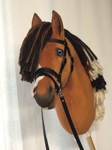 Hobby Horse Isländer